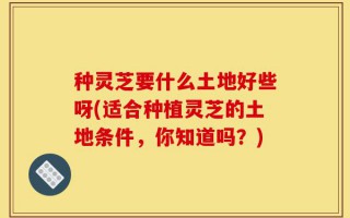种灵芝要什么土地好些呀(适合种植灵芝的土地条件，你知道吗？)