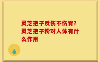 灵芝孢子反伤不伤胃？灵芝孢子粉对人体有什么作用