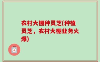 农村大棚种灵芝(种植灵芝，农村大棚业务火爆)