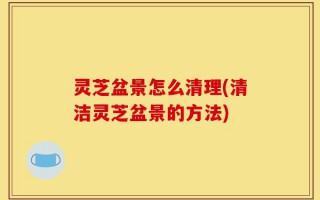 灵芝盆景怎么清理(清洁灵芝盆景的方法)
