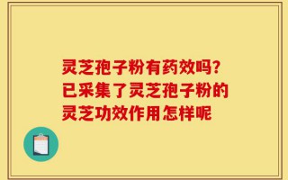 灵芝孢子粉有药效吗？已采集了灵芝孢子粉的灵芝功效作用怎样呢