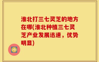 淮北打三七灵芝的地方在哪(淮北种植三七灵芝产业发展迅速，优势明显)