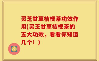 灵芝甘草桔梗茶功效作用(灵芝甘草桔梗茶的五大功效，看看你知道几个！)