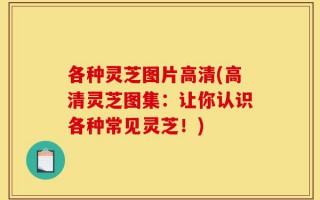 各种灵芝图片高清(高清灵芝图集：让你认识各种常见灵芝！)