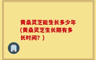 黄桑灵芝能生长多少年(黄桑灵芝生长期有多长时间？)
