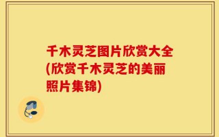 千木灵芝图片欣赏大全(欣赏千木灵芝的美丽照片集锦)