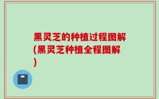 黑灵芝的种植过程图解(黑灵芝种植全程图解)