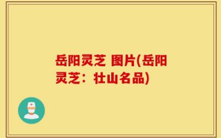 岳阳灵芝 图片(岳阳灵芝：壮山名品)