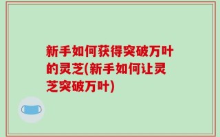 新手如何获得突破万叶的灵芝(新手如何让灵芝突破万叶)