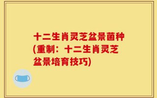 十二生肖灵芝盆景菌种(重制：十二生肖灵芝盆景培育技巧)