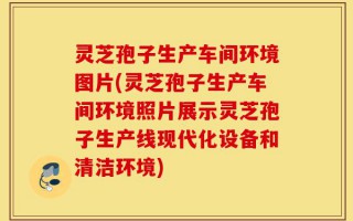 灵芝孢子生产车间环境图片(灵芝孢子生产车间环境照片展示灵芝孢子生产线现代化设备和清洁环境)