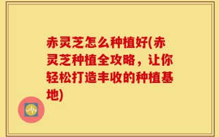 赤灵芝怎么种植好(赤灵芝种植全攻略，让你轻松打造丰收的种植基地)