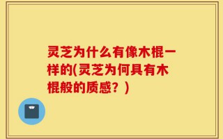 灵芝为什么有像木棍一样的(灵芝为何具有木棍般的质感？)