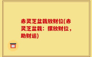 赤灵芝盆栽放财位(赤灵芝盆栽：摆放财位，助财运)