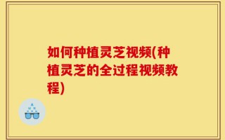 如何种植灵芝视频(种植灵芝的全过程视频教程)