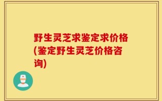 野生灵芝求鉴定求价格(鉴定野生灵芝价格咨询)