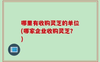 哪里有收购灵芝的单位(哪家企业收购灵芝？)