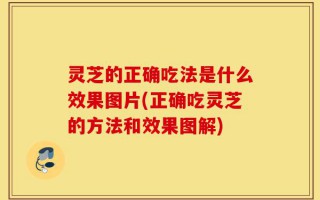 灵芝的正确吃法是什么效果图片(正确吃灵芝的方法和效果图解)