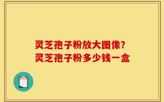 灵芝孢子粉放大图像？灵芝孢子粉多少钱一盒