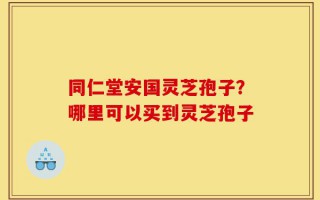 同仁堂安国灵芝孢子？哪里可以买到灵芝孢子
