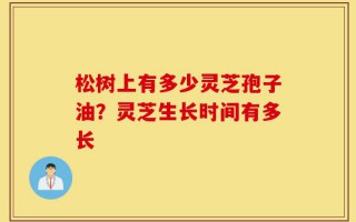松树上有多少灵芝孢子油？灵芝生长时间有多长