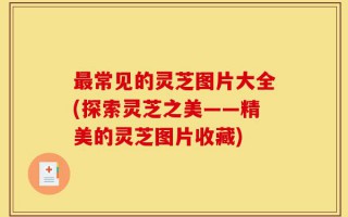 最常见的灵芝图片大全(探索灵芝之美——精美的灵芝图片收藏)