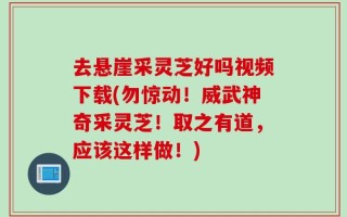 去悬崖采灵芝好吗视频下载(勿惊动！威武神奇采灵芝！取之有道，应该这样做！)