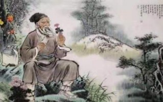 为什么说泰山的赤灵芝孢子粉正宗？