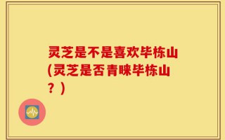灵芝是不是喜欢毕栋山(灵芝是否青睐毕栋山？)