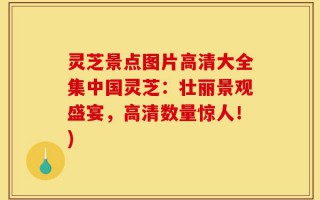 灵芝景点图片高清大全集中国灵芝：壮丽景观盛宴，高清数量惊人！)