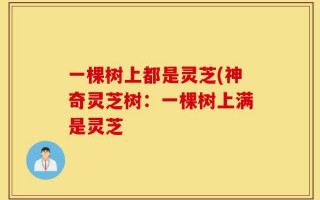 一棵树上都是灵芝(神奇灵芝树：一棵树上满是灵芝