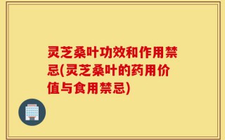 灵芝桑叶功效和作用禁忌(灵芝桑叶的药用价值与食用禁忌)