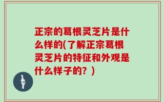 正宗的葛根灵芝片是什么样的(了解正宗葛根灵芝片的特征和外观是什么样子的？)