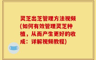 灵芝出芝管理方法视频(如何有效管理灵芝种植，从而产生更好的收成：详解视频教程)