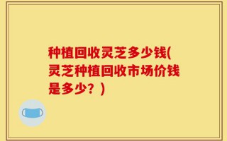 种植回收灵芝多少钱(灵芝种植回收市场价钱是多少？)