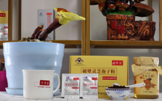 灵芝孢子粉的功效与作用同蜂蜜相配吗？