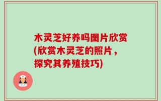 木灵芝好养吗图片欣赏(欣赏木灵芝的照片，探究其养殖技巧)