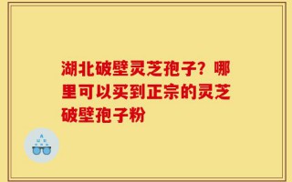 湖北破壁灵芝孢子？哪里可以买到正宗的灵芝破壁孢子粉
