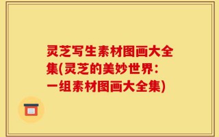 灵芝写生素材图画大全集(灵芝的美妙世界：一组素材图画大全集)