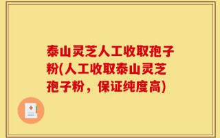 泰山灵芝人工收取孢子粉(人工收取泰山灵芝孢子粉，保证纯度高)