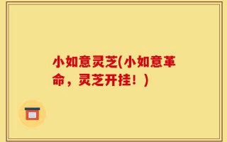 小如意灵芝(小如意革命，灵芝开挂！)