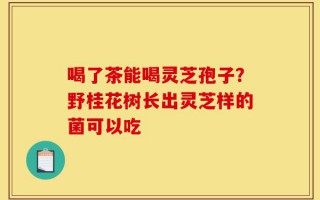 喝了茶能喝灵芝孢子？野桂花树长出灵芝样的菌可以吃