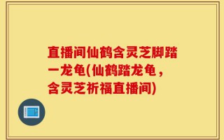 直播间仙鹤含灵芝脚踏一龙龟(仙鹤踏龙龟，含灵芝祈福直播间)