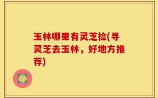 玉林哪里有灵芝捡(寻灵芝去玉林，好地方推荐)