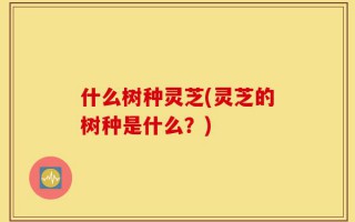 什么树种灵芝(灵芝的树种是什么？)
