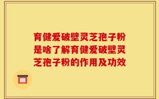 育健爱破壁灵芝孢子粉是啥了解育健爱破壁灵芝孢子粉的作用及功效