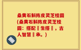 桑黄石斛陈皮灵芝桂圆(桑黄石斛陈皮灵芝桂圆：搭配養生搭檔，古人智慧傳承。)