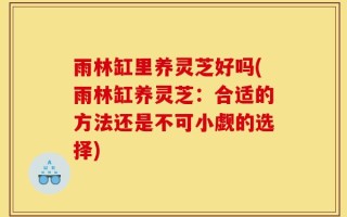 雨林缸里养灵芝好吗(雨林缸养灵芝：合适的方法还是不可小觑的选择)