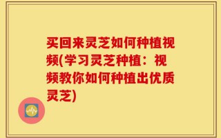 买回来灵芝如何种植视频(学习灵芝种植：视频教你如何种植出优质灵芝)