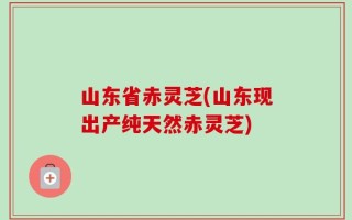 山东省赤灵芝(山东现出产纯天然赤灵芝)